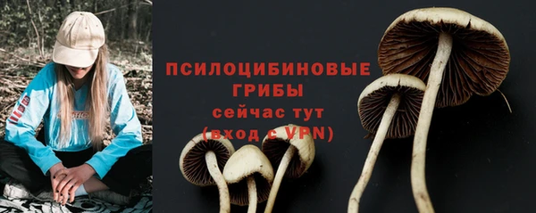 спайс Алексин