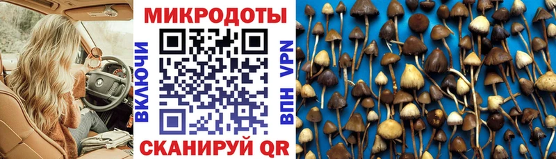 omg   дарнет шоп  Алупка  Галлюциногенные грибы Cubensis 